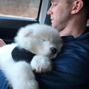 Meet your Posher, Matt